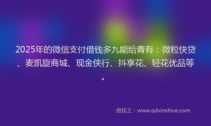 2025年的微信支付借钱多九能给青有：微粒快贷、麦凯旋商城、现金侠行、抖享花、轻花优品等。
