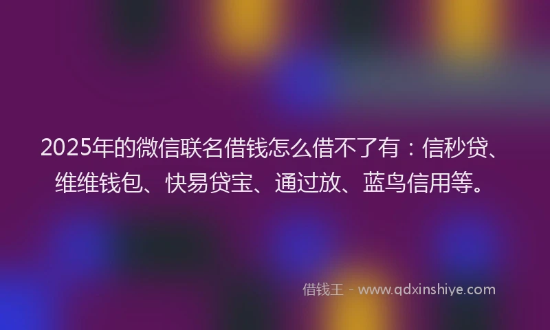 2025年的微信联名借钱怎么借不了有：信秒贷、维维钱包、快易贷宝、通过放、蓝鸟信用等。