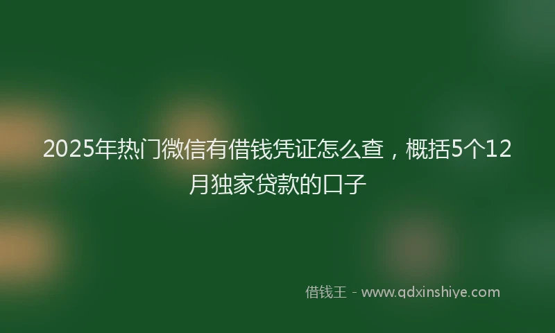 2025年热门微信有借钱凭证怎么查，概括5个12月独家贷款的口子