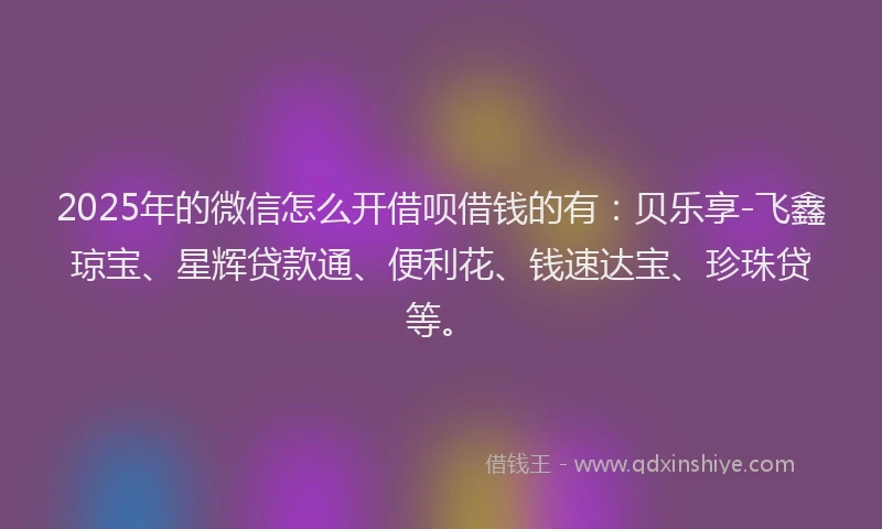 2025年的微信怎么开借呗借钱的有：贝乐享-飞鑫琼宝、星辉贷款通、便利花、钱速达宝、珍珠贷等。