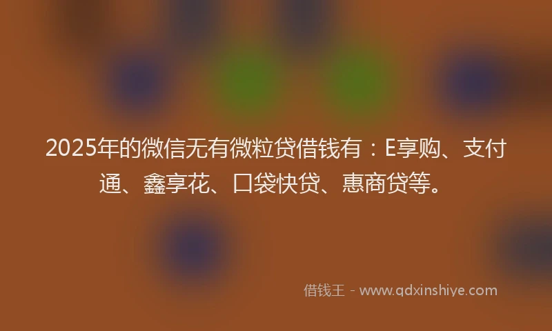 2025年的微信无有微粒贷借钱有：E享购、支付通、鑫享花、口袋快贷、惠商贷等。