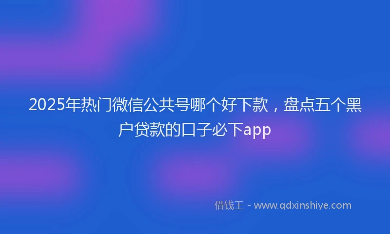 2025年热门微信公共号哪个好下款，盘点五个黑户贷款的口子必下app