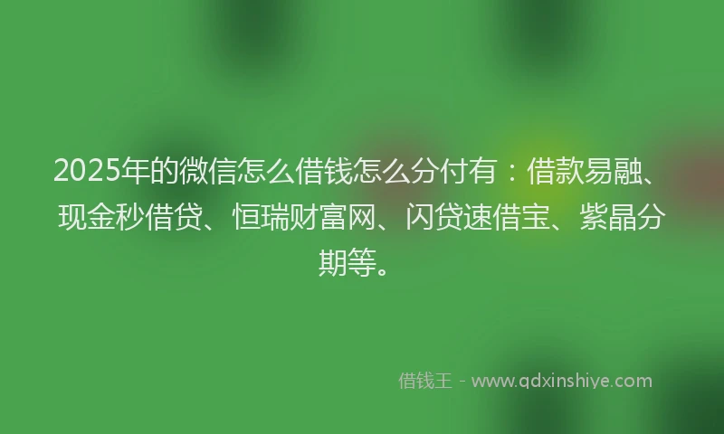2025年的微信怎么借钱怎么分付有：借款易融、现金秒借贷、恒瑞财富网、闪贷速借宝、紫晶分期等。