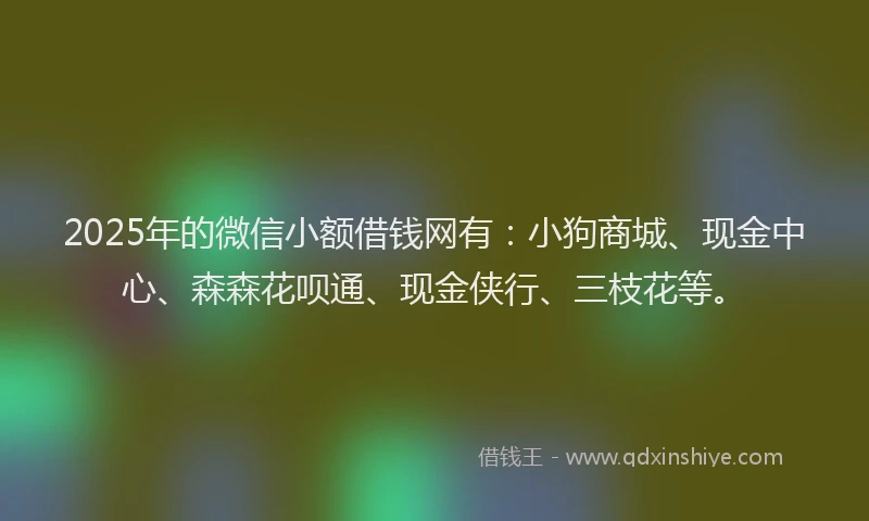 2025年的微信小额借钱网有：小狗商城、现金中心、森森花呗通、现金侠行、三枝花等。