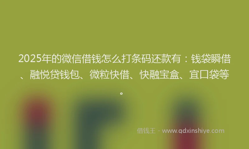 2025年的微信借钱怎么打条码还款有：钱袋瞬借、融悦贷钱包、微粒快借、快融宝盒、宜口袋等。