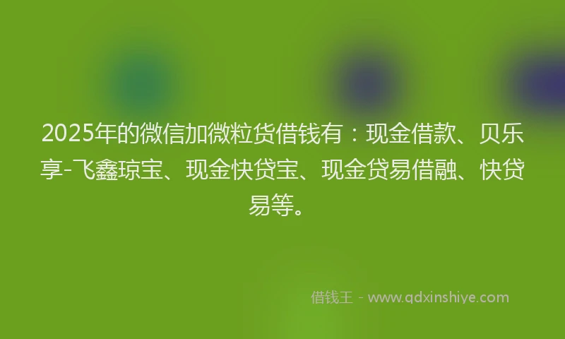 2025年的微信加微粒货借钱有：现金借款、贝乐享-飞鑫琼宝、现金快贷宝、现金贷易借融、快贷易等。