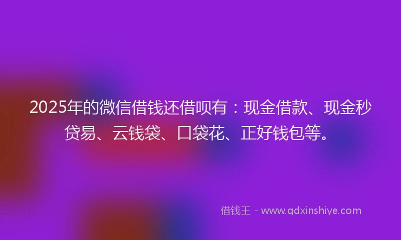 2025年的微信借钱还借呗有：现金借款、现金秒贷易、云钱袋、口袋花、正好钱包等。