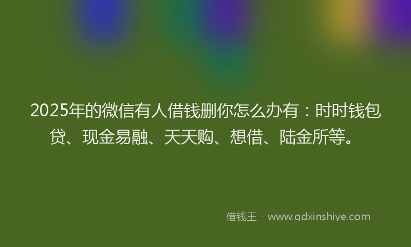 2025年的微信有人借钱删你怎么办有：时时钱包贷、现金易融、天天购、想借、陆金所等。