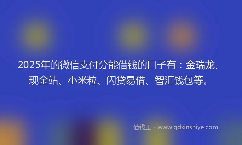 2025年的微信支付分能借钱的口子有：金瑞龙、现金站、小米粒、闪贷易借、智汇钱包等。