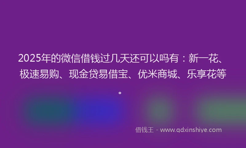 2025年的微信借钱过几天还可以吗有：新一花、极速易购、现金贷易借宝、优米商城、乐享花等。