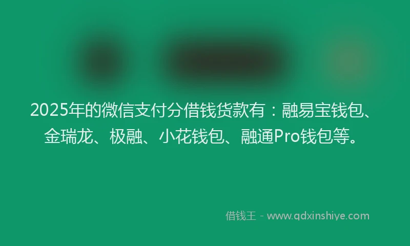 2025年的微信支付分借钱货款有：融易宝钱包、金瑞龙、极融、小花钱包、融通Pro钱包等。