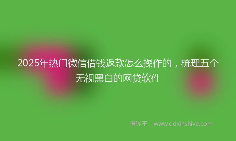 2025年热门微信借钱返款怎么操作的，梳理五个无视黑白的网贷软件