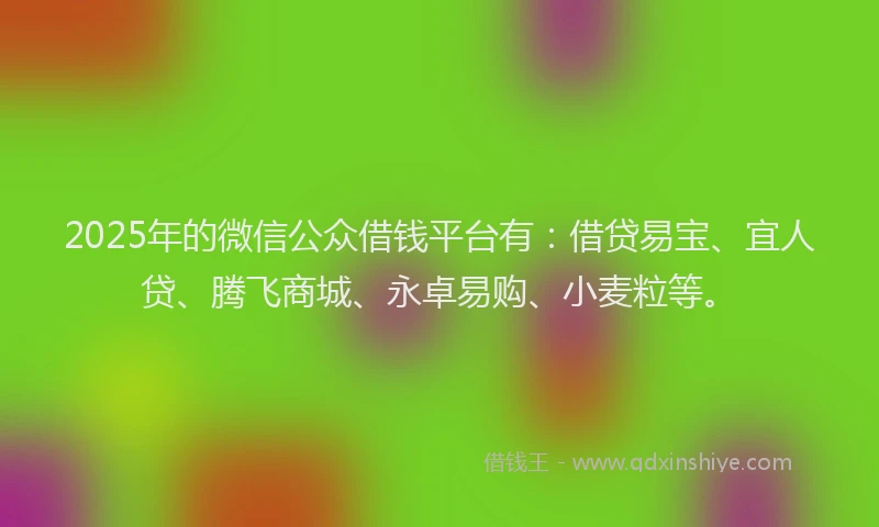 2025年的微信公众借钱平台有：借贷易宝、宜人贷、腾飞商城、永卓易购、小麦粒等。