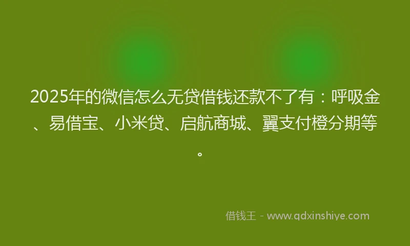 2025年的微信怎么无贷借钱还款不了有：呼吸金、易借宝、小米贷、启航商城、翼支付橙分期等。