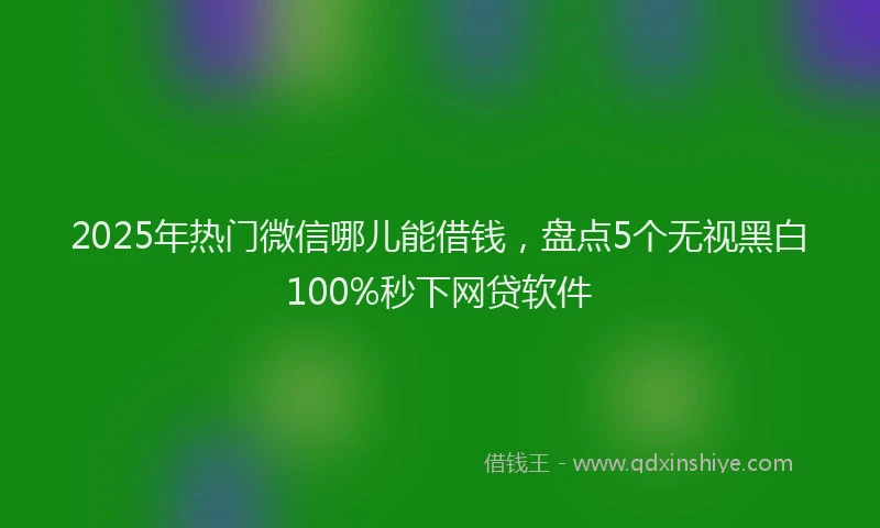 2025年热门微信哪儿能借钱，盘点5个无视黑白100%秒下网贷软件