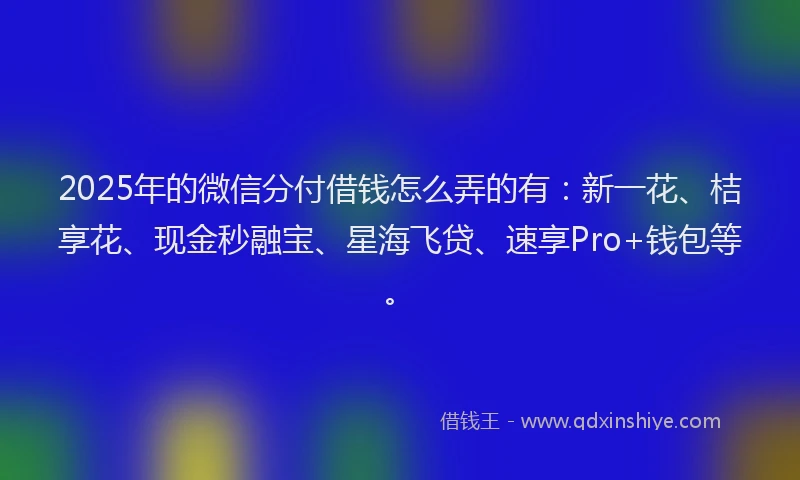 2025年的微信分付借钱怎么弄的有：新一花、桔享花、现金秒融宝、星海飞贷、速享Pro+钱包等。