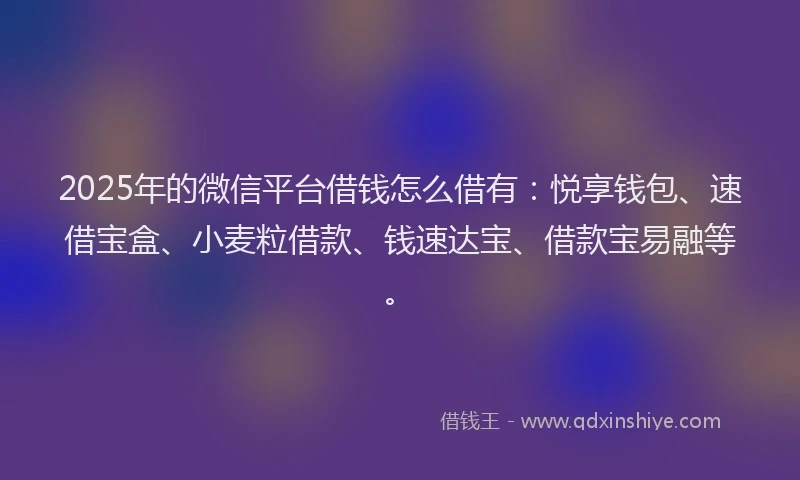 2025年的微信平台借钱怎么借有：悦享钱包、速借宝盒、小麦粒借款、钱速达宝、借款宝易融等。