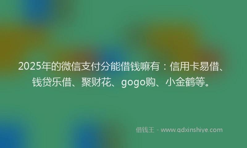2025年的微信支付分能借钱嘛有：信用卡易借、钱贷乐借、聚财花、gogo购、小金鹤等。