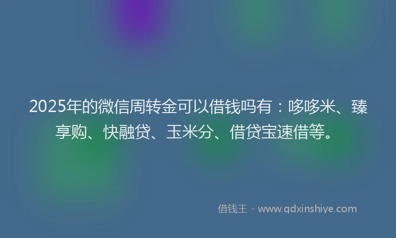2025年的微信周转金可以借钱吗有：哆哆米、臻享购、快融贷、玉米分、借贷宝速借等。