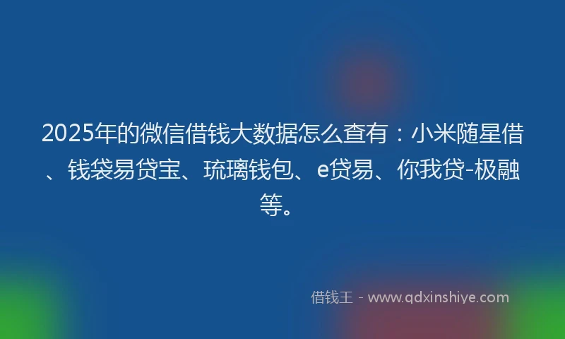 2025年的微信借钱大数据怎么查有：小米随星借、钱袋易贷宝、琉璃钱包、e贷易、你我贷-极融等。