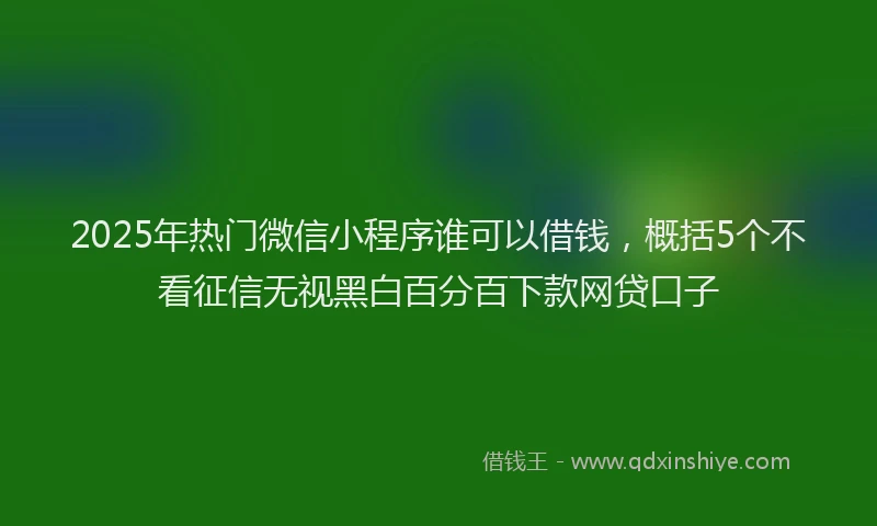 2025年热门微信小程序谁可以借钱，概括5个不看征信无视黑白百分百下款网贷口子