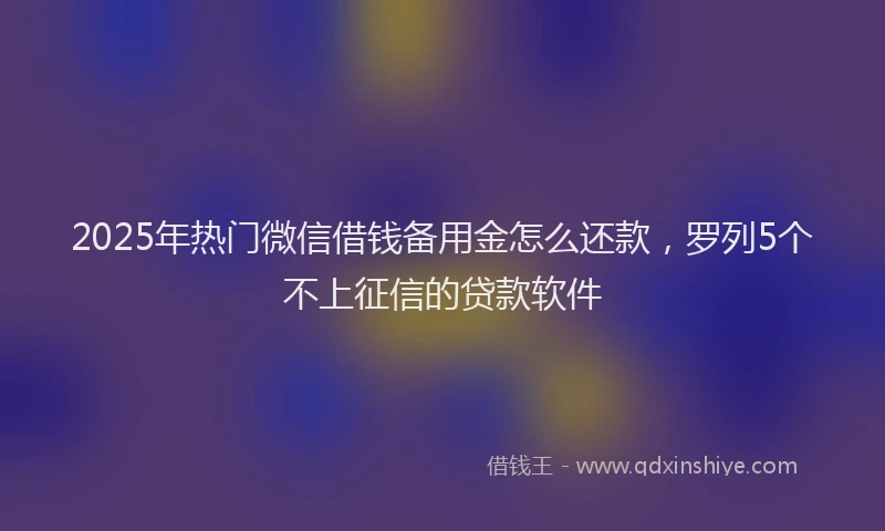 2025年热门微信借钱备用金怎么还款，罗列5个不上征信的贷款软件