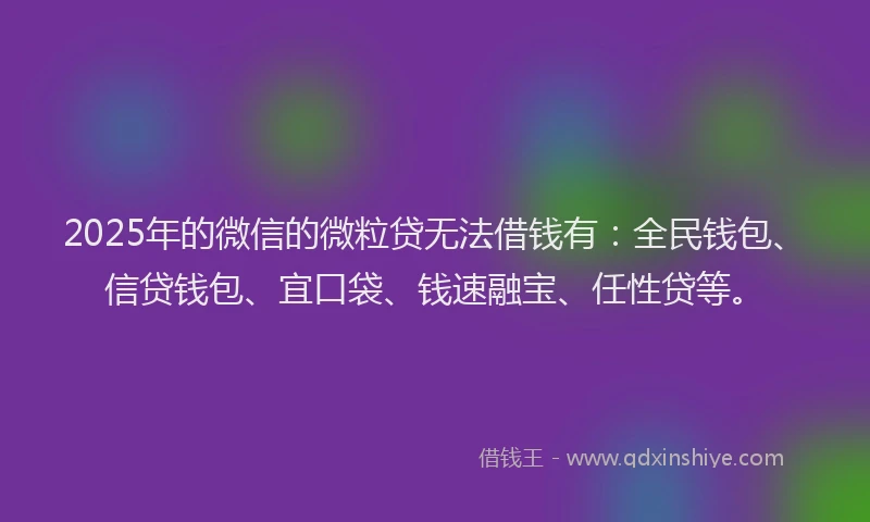 2025年的微信的微粒贷无法借钱有：全民钱包、信贷钱包、宜口袋、钱速融宝、任性贷等。