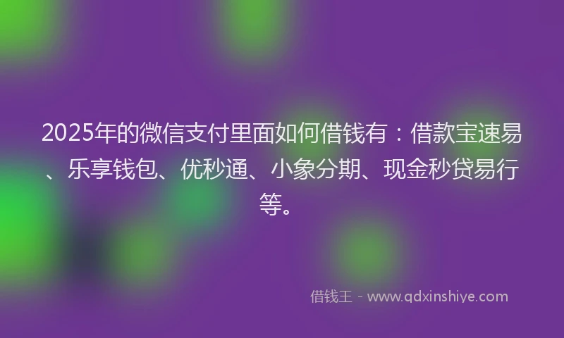 2025年的微信支付里面如何借钱有：借款宝速易、乐享钱包、优秒通、小象分期、现金秒贷易行等。