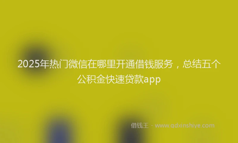 2025年热门微信在哪里开通借钱服务，总结五个公积金快速贷款app