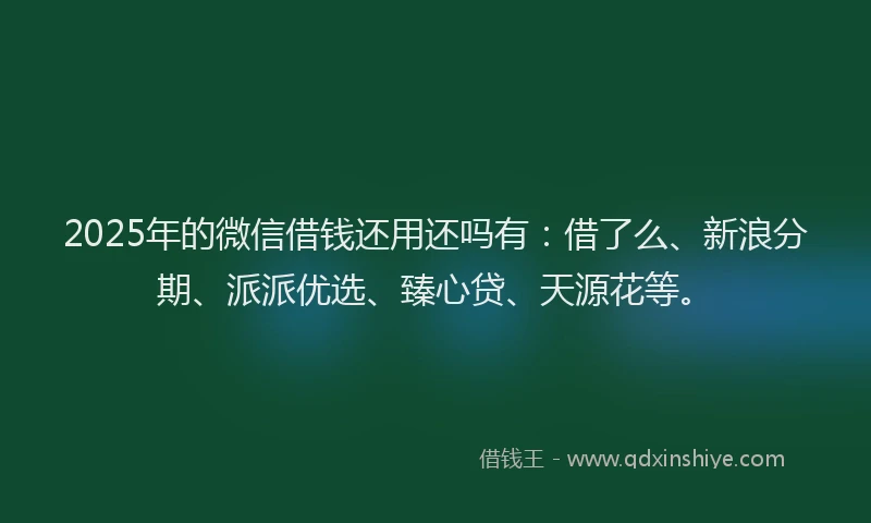 2025年的微信借钱还用还吗有：借了么、新浪分期、派派优选、臻心贷、天源花等。