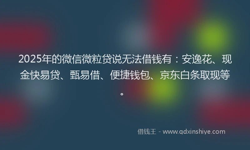 2025年的微信微粒贷说无法借钱有：安逸花、现金快易贷、甄易借、便捷钱包、京东白条取现等。