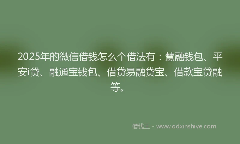2025年的微信借钱怎么个借法有：慧融钱包、平安i贷、融通宝钱包、借贷易融贷宝、借款宝贷融等。