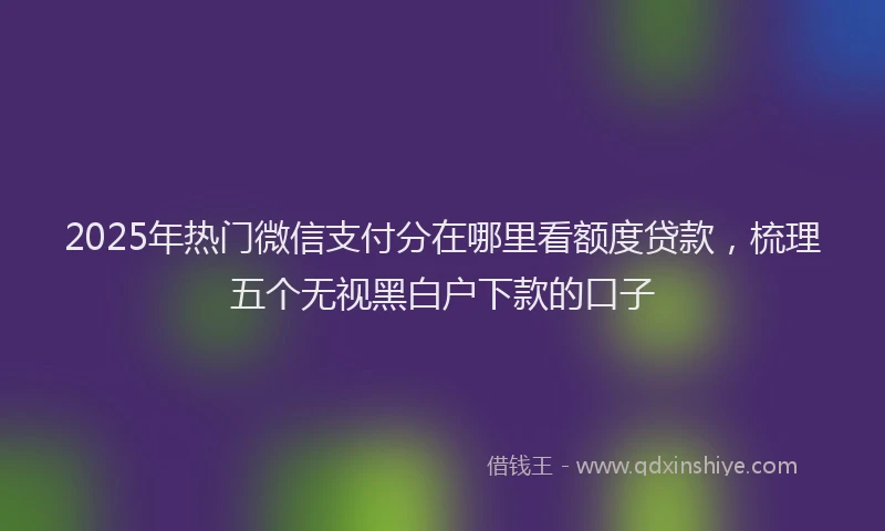 2025年热门微信支付分在哪里看额度贷款，梳理五个无视黑白户下款的口子