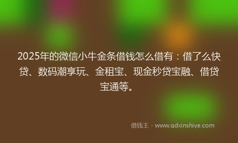 2025年的微信小牛金条借钱怎么借有：借了么快贷、数码潮享玩、金租宝、现金秒贷宝融、借贷宝通等。