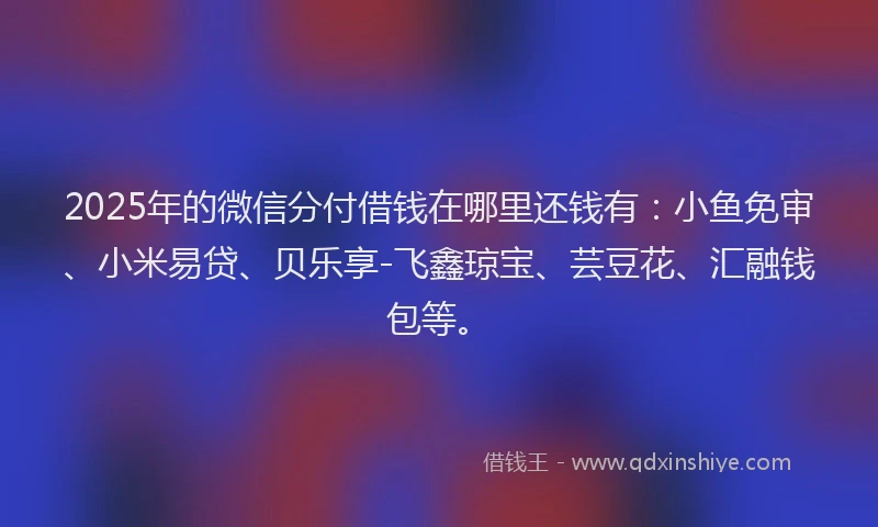 2025年的微信分付借钱在哪里还钱有：小鱼免审、小米易贷、贝乐享-飞鑫琼宝、芸豆花、汇融钱包等。