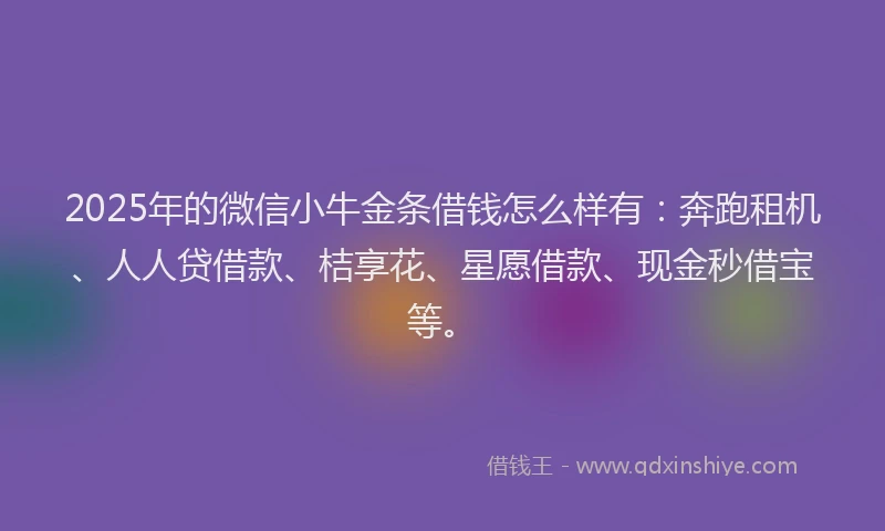 2025年的微信小牛金条借钱怎么样有：奔跑租机、人人贷借款、桔享花、星愿借款、现金秒借宝等。