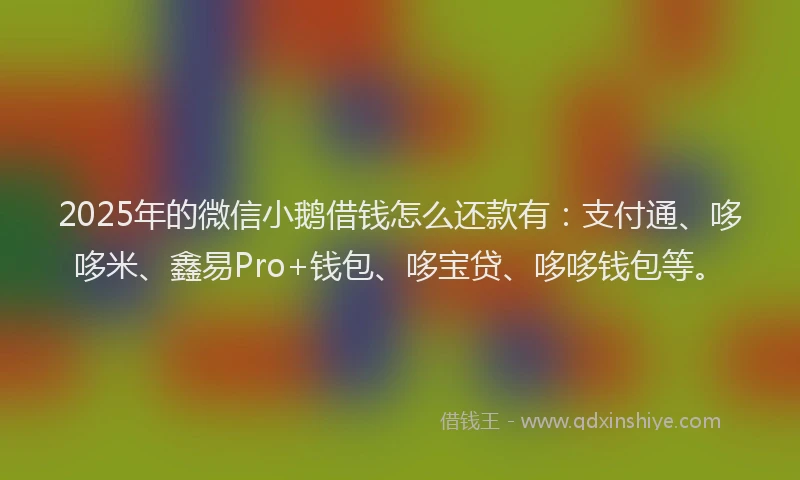 2025年的微信小鹅借钱怎么还款有：支付通、哆哆米、鑫易Pro+钱包、哆宝贷、哆哆钱包等。