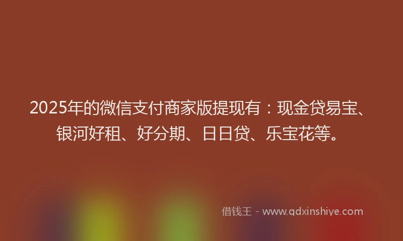 2025年的微信支付商家版提现有：现金贷易宝、银河好租、好分期、日日贷、乐宝花等。