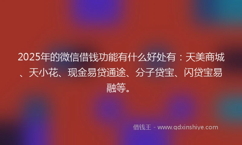 2025年的微信借钱功能有什么好处有：天美商城、天小花、现金易贷通途、分子贷宝、闪贷宝易融等。