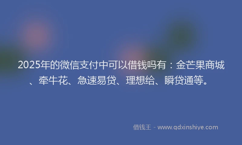 2025年的微信支付中可以借钱吗有：金芒果商城、牵牛花、急速易贷、理想给、瞬贷通等。