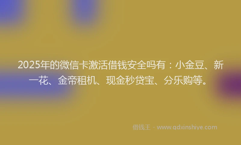 2025年的微信卡激活借钱安全吗有：小金豆、新一花、金帝租机、现金秒贷宝、分乐购等。