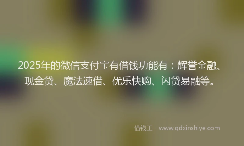 2025年的微信支付宝有借钱功能有：辉誉金融、现金贷、魔法速借、优乐快购、闪贷易融等。
