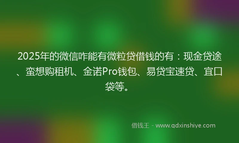2025年的微信咋能有微粒贷借钱的有：现金贷途、蛮想购租机、金诺Pro钱包、易贷宝速贷、宜口袋等。