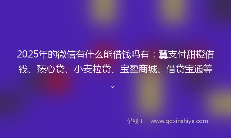 2025年的微信有什么能借钱吗有：翼支付甜橙借钱、臻心贷、小麦粒贷、宝盈商城、借贷宝通等。