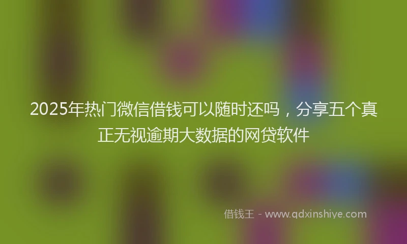 2025年热门微信借钱可以随时还吗，分享五个真正无视逾期大数据的网贷软件