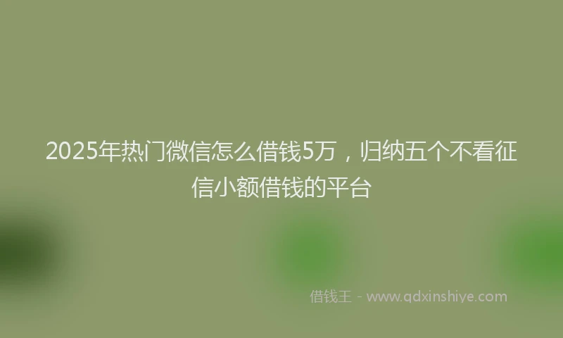 2025年热门微信怎么借钱5万，归纳五个不看征信小额借钱的平台