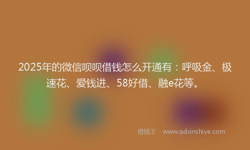 2025年的微信呗呗借钱怎么开通有：呼吸金、极速花、爱钱进、58好借、融e花等。