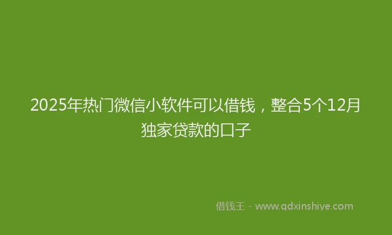 2025年热门微信小软件可以借钱，整合5个12月独家贷款的口子