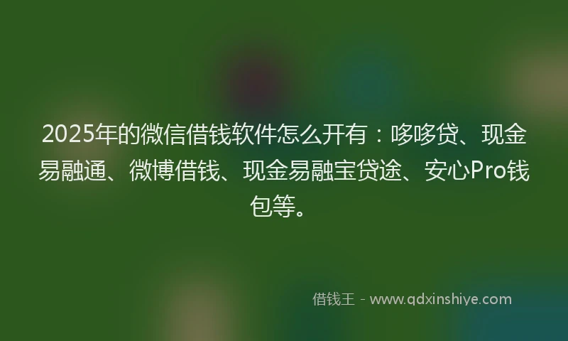 2025年的微信借钱软件怎么开有：哆哆贷、现金易融通、微博借钱、现金易融宝贷途、安心Pro钱包等。