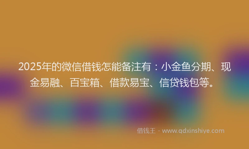 2025年的微信借钱怎能备注有：小金鱼分期、现金易融、百宝箱、借款易宝、信贷钱包等。